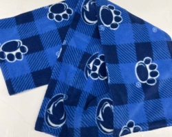 2024 Quilt Auction