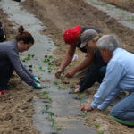 The Wittel Farm Growing Project