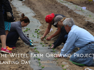 The Wittel Farm Growing Project Planting Day