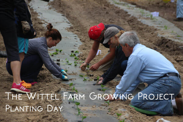 The Wittel Farm Growing Project Planting Day