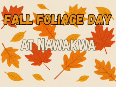 Fall Foliage Day at Nawakwa