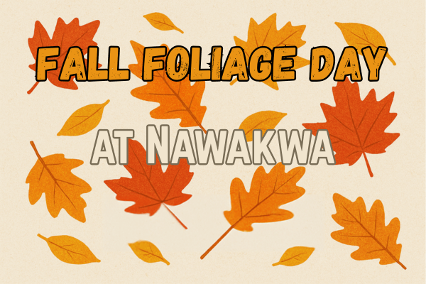 Fall Foliage Day at Nawakwa