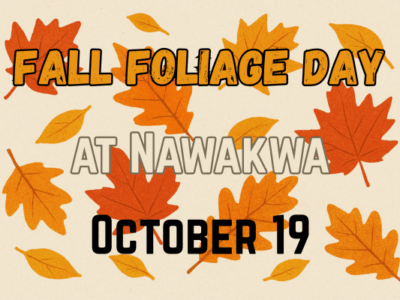 Fall Foliage Day at Nawakwa