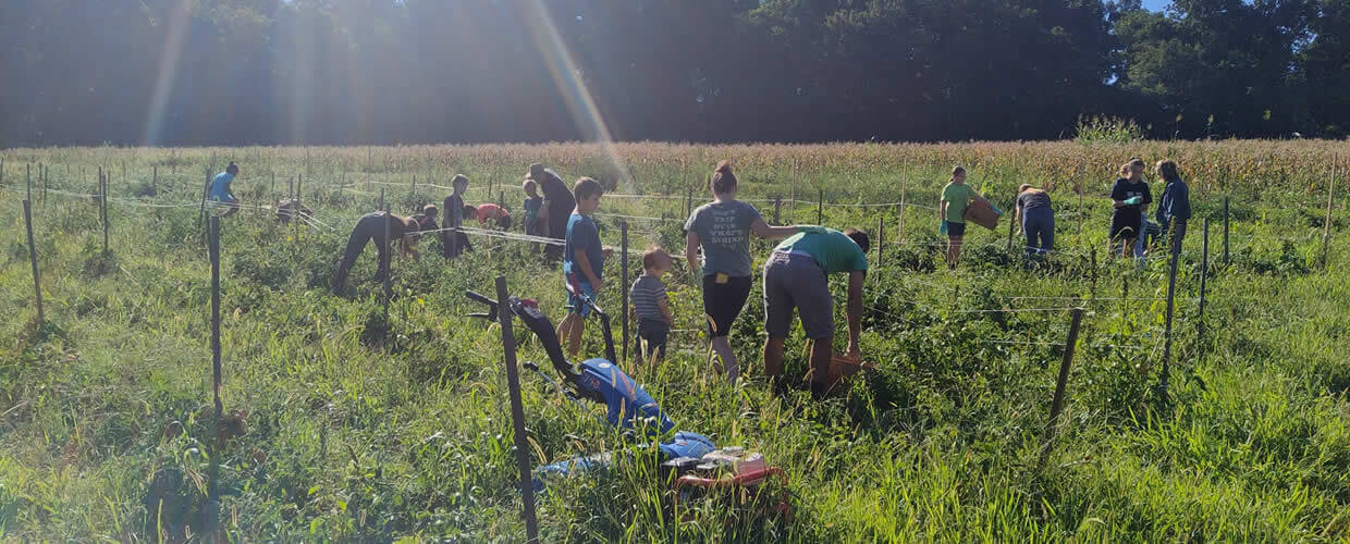 The Wittel Farm Growing Project