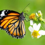 Reimagining Chaos and Creation: The Challenge of Proclamation in an Age of Global Despair