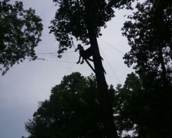 High Ropes Course High Ropes Course at Nawakwa