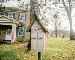 The Wittel Farm