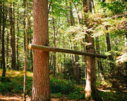 Challenge Course at Nawakwa Challenge Course at Nawakwa