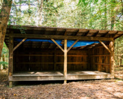 Adirondacks at Nawakwa Adirondacks at Nawakwa