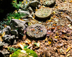The Labyrinth at Nawakwa The Labyrinth at Nawakwa