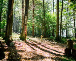The Labyrinth at Nawakwa The Labyrinth at Nawakwa
