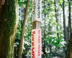 The Labyrinth at Nawakwa The Labyrinth at Nawakwa
