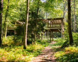 Treehouse at Nawakwa Treehouse at Nawakwa
