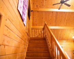 Bear's Den at Kirchenwald Bear's Den at Kirchenwald