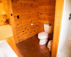 Bathroom Bear's Den at Kirchenwald