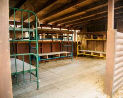 Wilderness Campsite at Kirchenwald