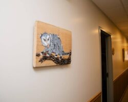 SchreiberHaus at Kirchenwald