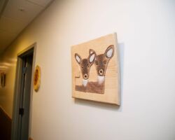 SchreiberHaus at Kirchenwald