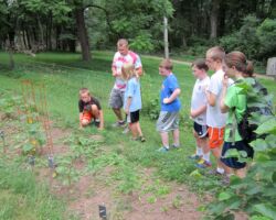 Garden at Kirchenwald