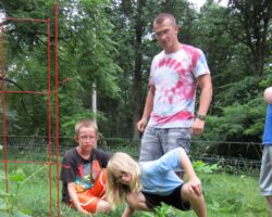 Garden at Kirchenwald